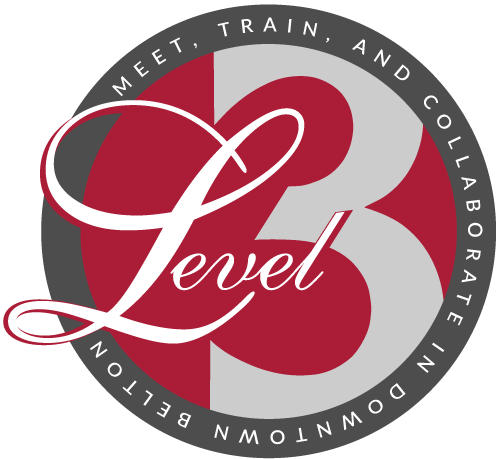 level3 logo revised grey w text option 500x459 transparent